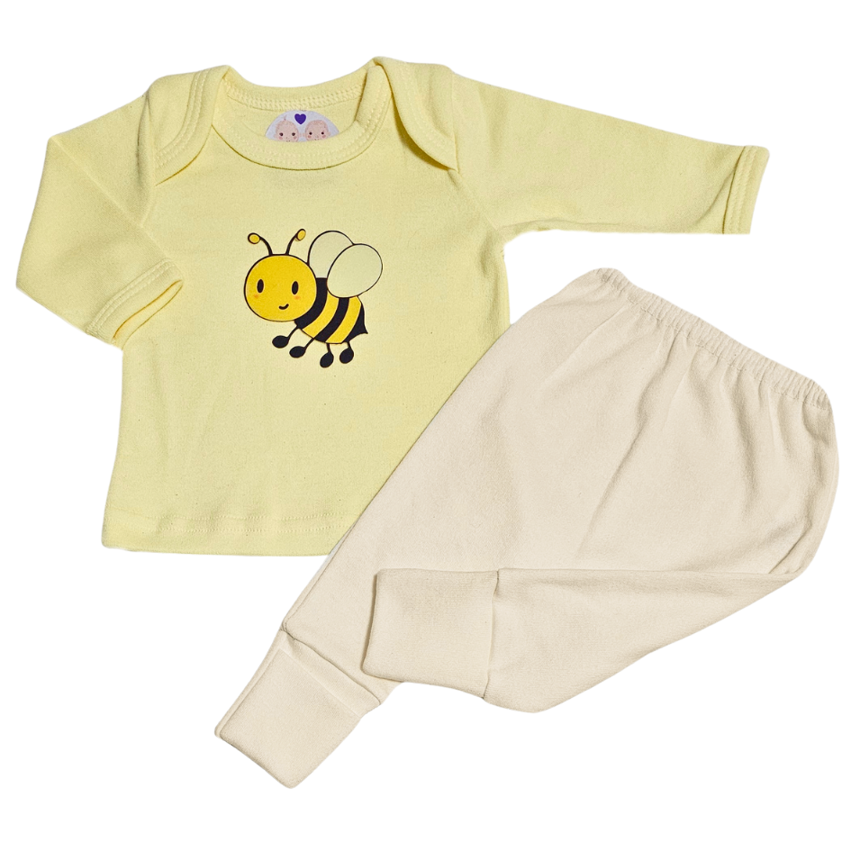 Camiseta e Calça Prematuro Suedine Abelhinha