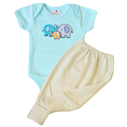 Body e Calça Prematuro Suedine Verão Elefantinhos
